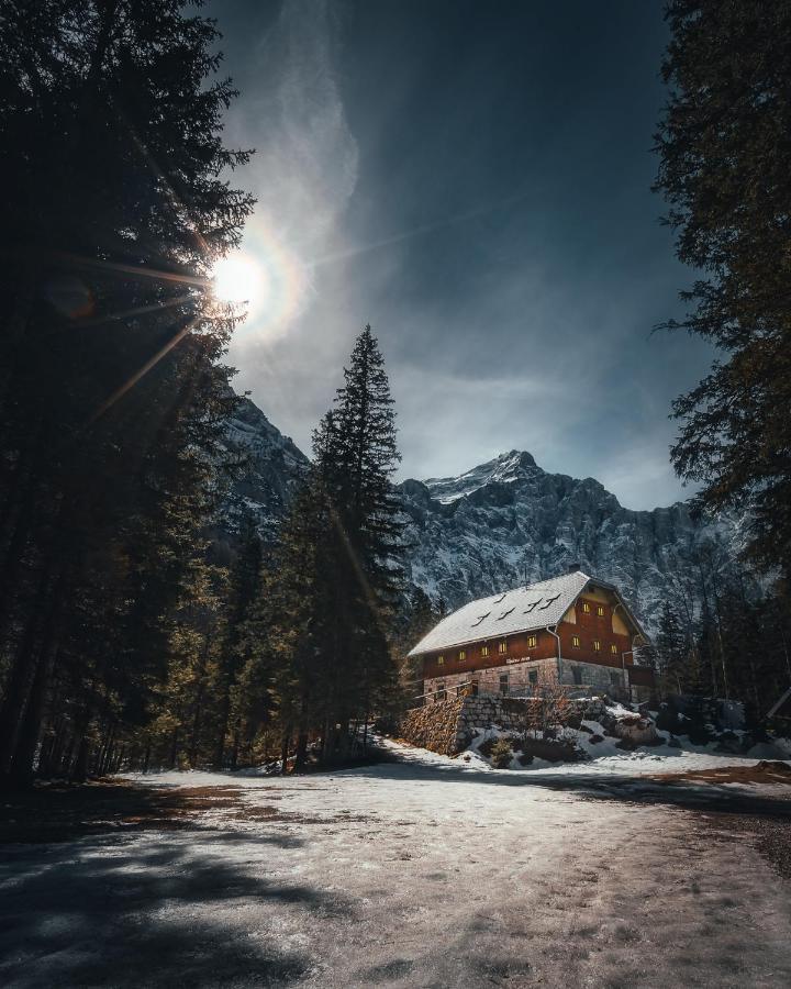 Apartma Borovc Mojstrana Extérieur photo