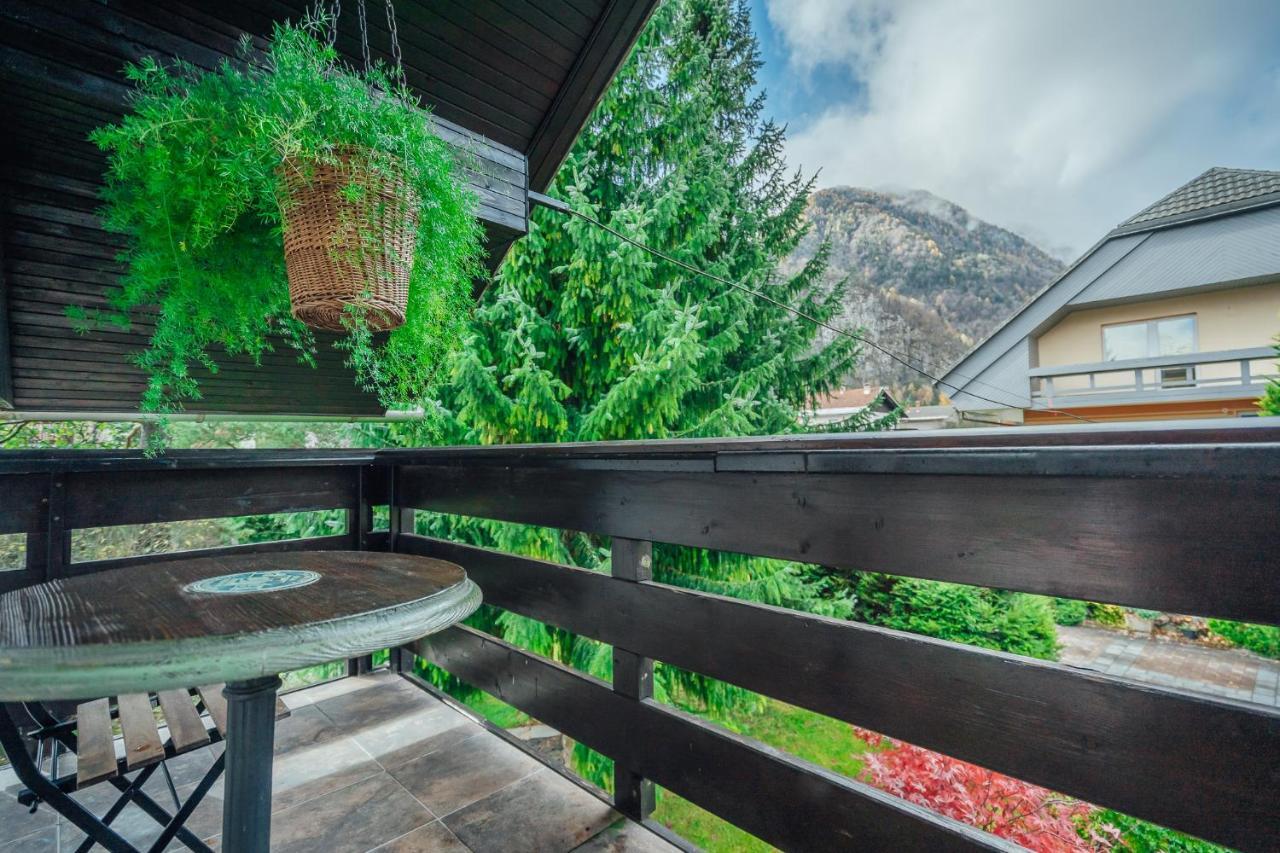 Apartma Borovc Mojstrana Extérieur photo